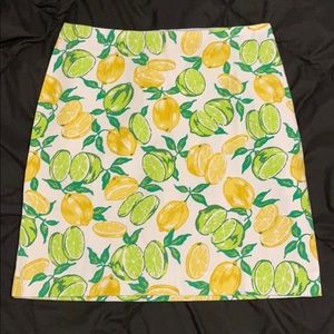 Talbots Skirt